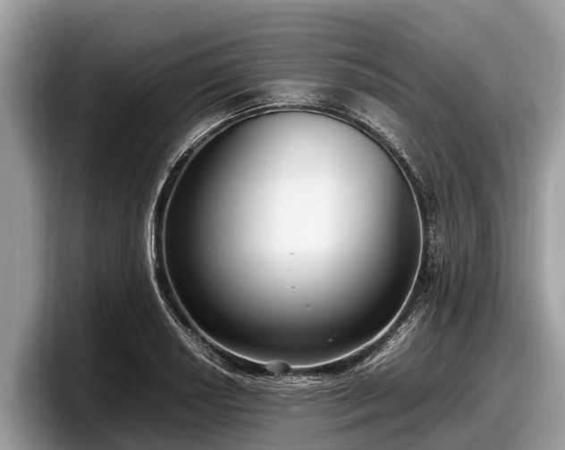 X0000097881034200803211330