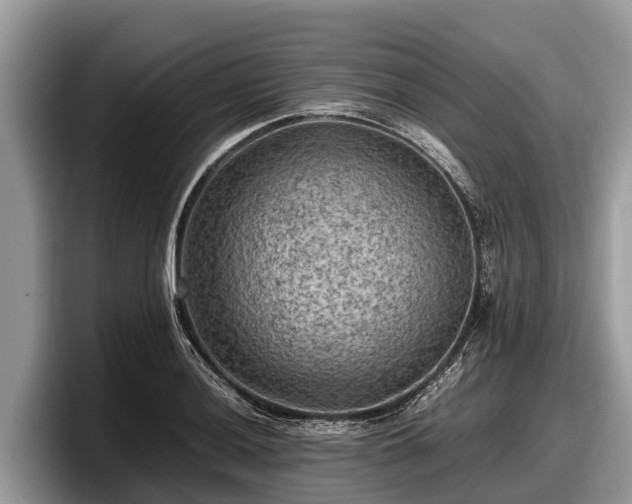 X0000097881036200803211330