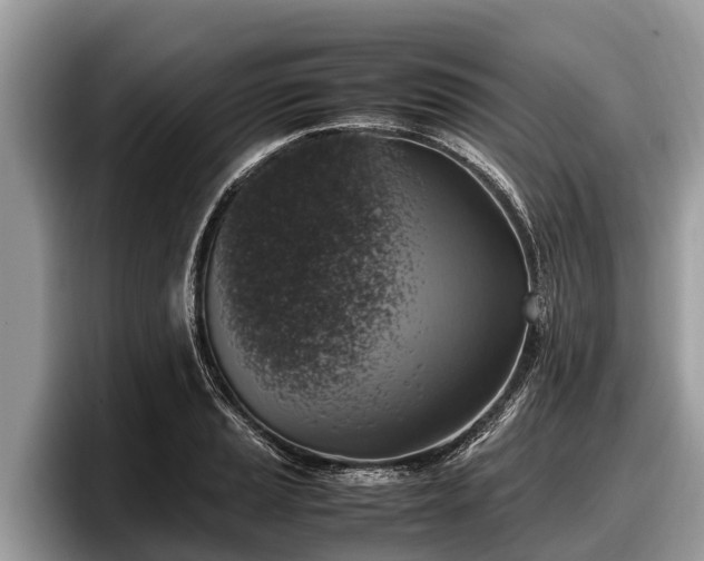 X0000097881037200803211330