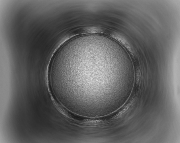 X0000097881039200803211330