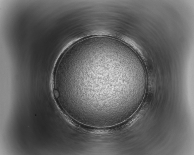 X0000097881040200803211330