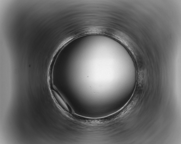X0000097881042200803211330