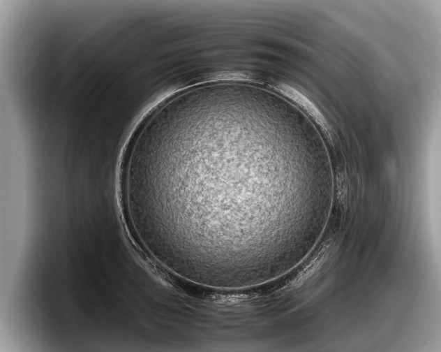 X0000097881043200803211330