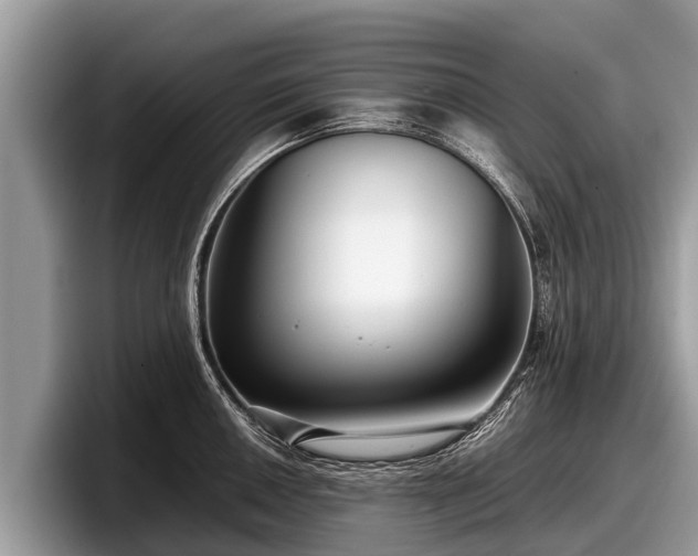 X0000097881050200803211330