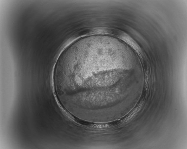 X0000097881055200803211330