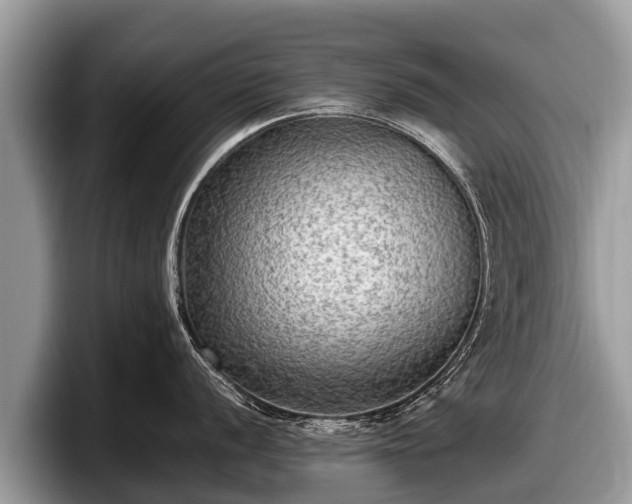 X0000097881056200803211330