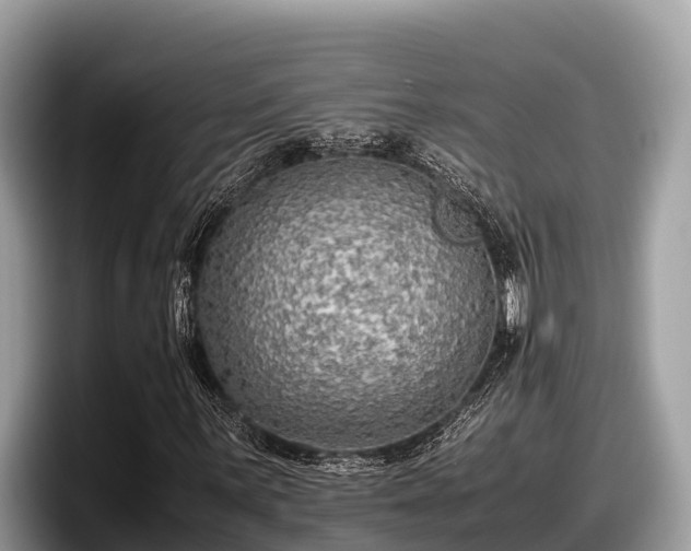 X0000097881059200803211330