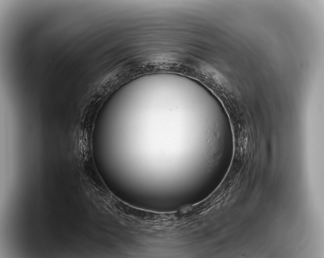 X0000097881062200803211330