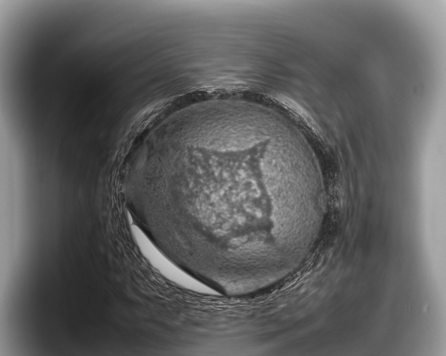X0000097881063200803211330