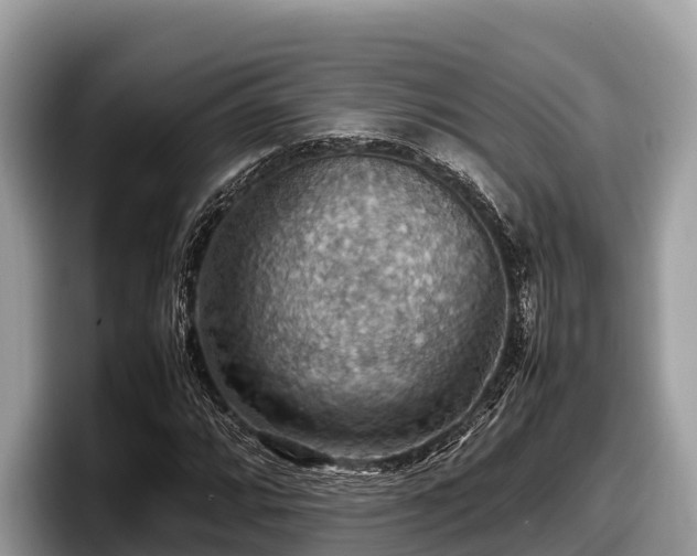 X0000097881064200803211330