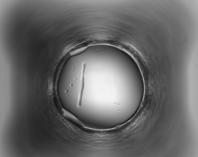 X0000097881065200803211330