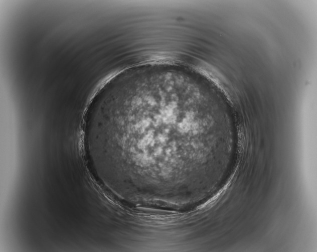 X0000097881066200803211330