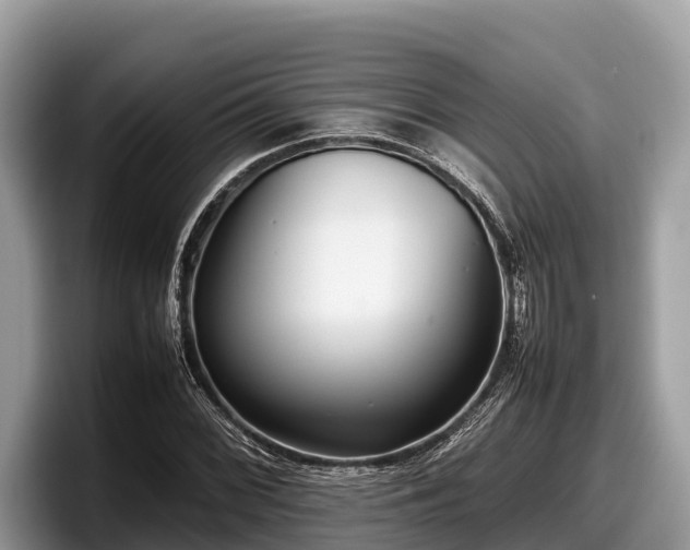 X0000097881068200803211330