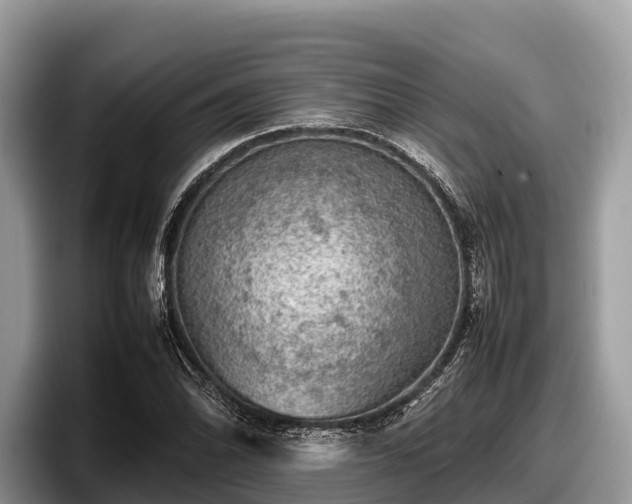X0000097881070200803211329