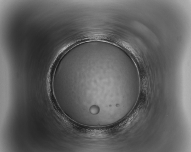 X0000097881071200803211329