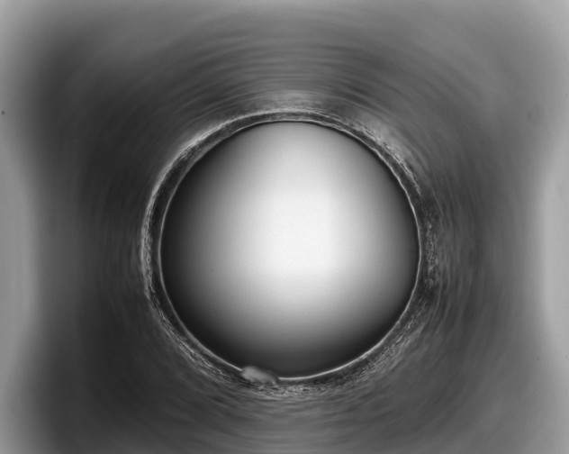 X0000097881072200803211329
