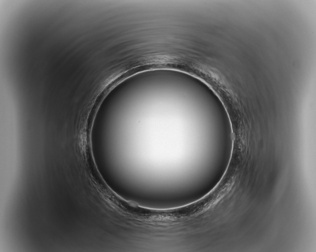 X0000097881073200803211329