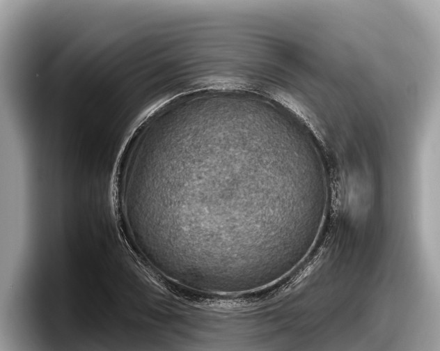 X0000097881074200803211329