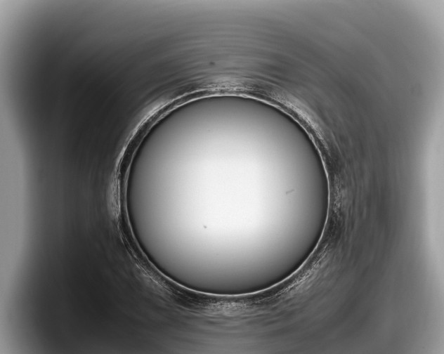 X0000097881075200803211329
