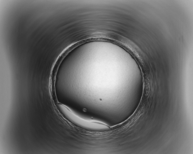 X0000097881076200803211329