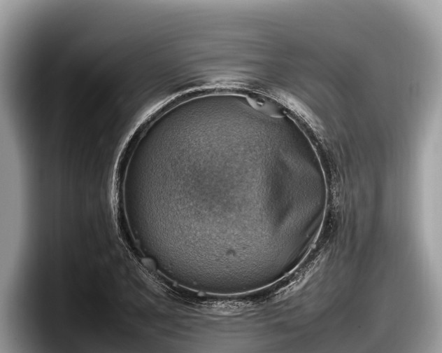 X0000097881077200803211329