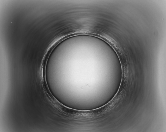 X0000097881078200803211329