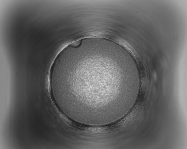 X0000097881079200803211329