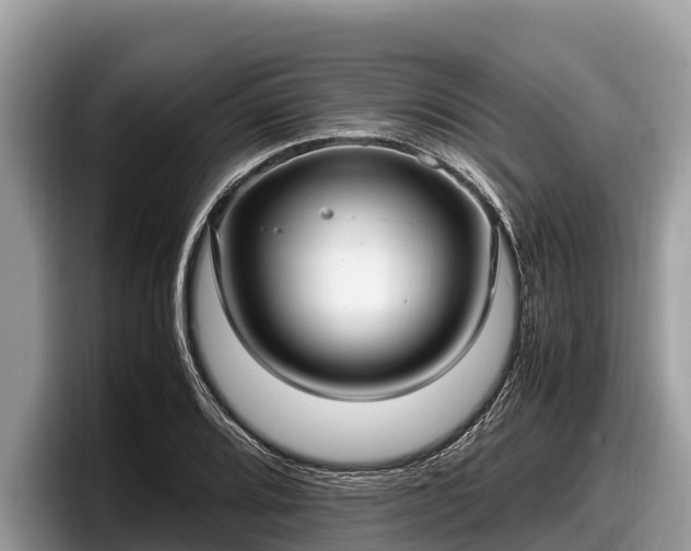 X0000097881080200803211329
