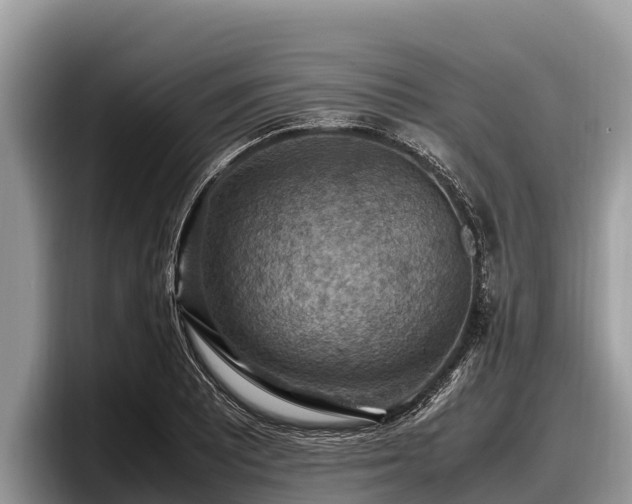 X0000097881081200803211329