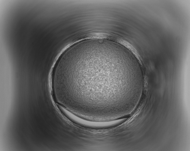 X0000097881083200803211329
