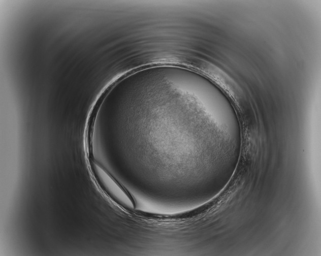 X0000097881084200803211329