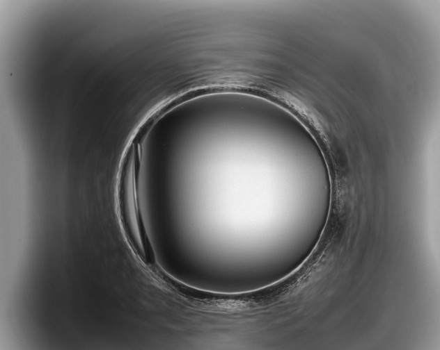 X0000097881085200803211329