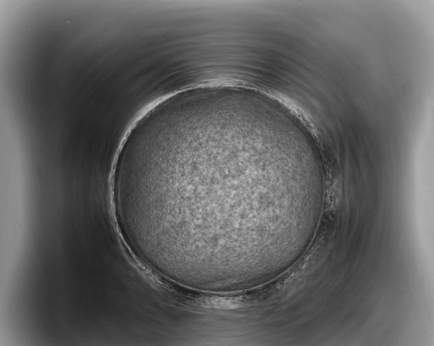 X0000097881086200803211329
