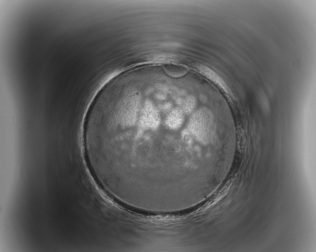 X0000097881087200803211329