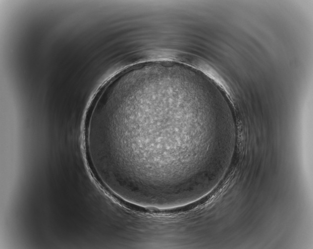 X0000097881088200803211329