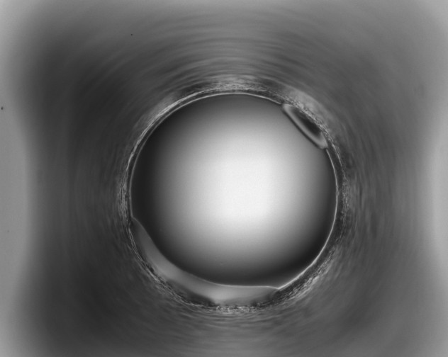 X0000097881089200803211329