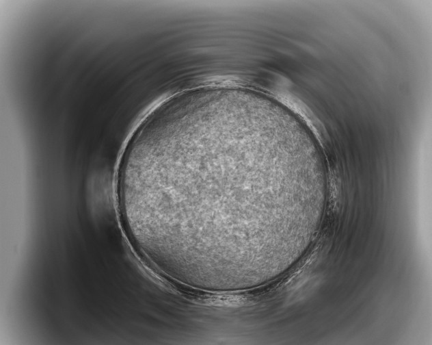 X0000097881090200803211329