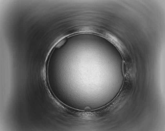 X0000097881092200803211329