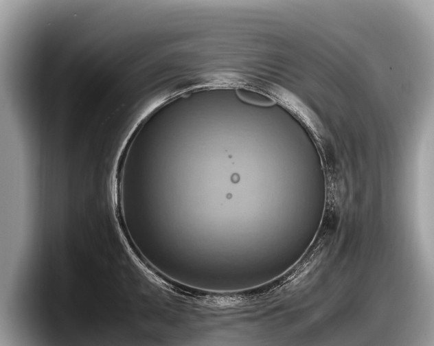 X0000097881095200803211329