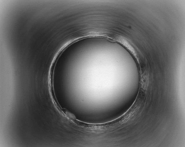 X0000097881096200803211329