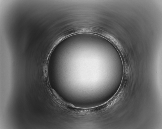 X0000097881097200803211329