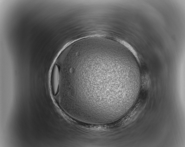 X0000097881099200803211329