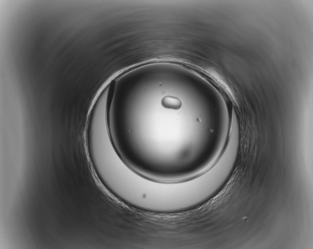 X0000097881100200803211329