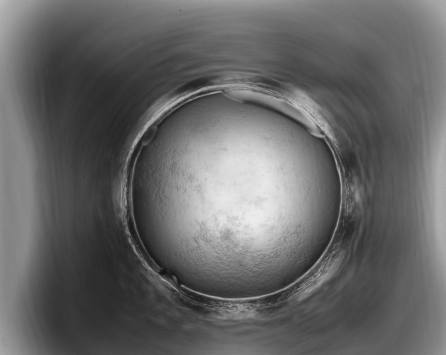 X0000097881101200803211329