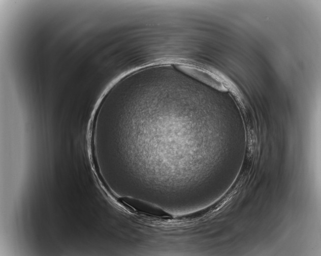 X0000097881102200803211329