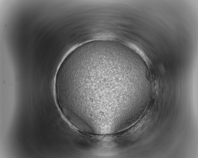 X0000097881103200803211329