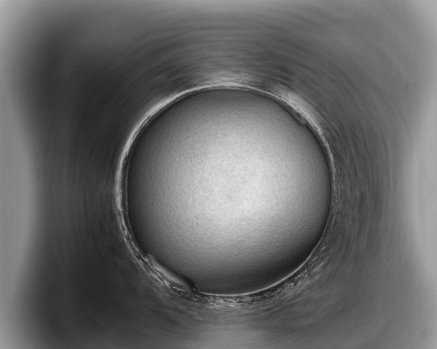 X0000097881104200803211329