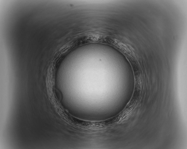 X0000097881105200803211328