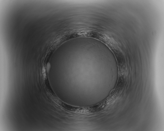 X0000097881106200803211328