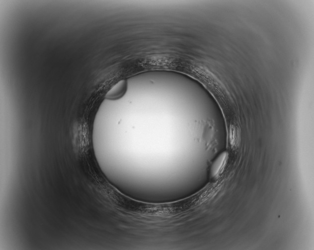 X0000097881107200803211328